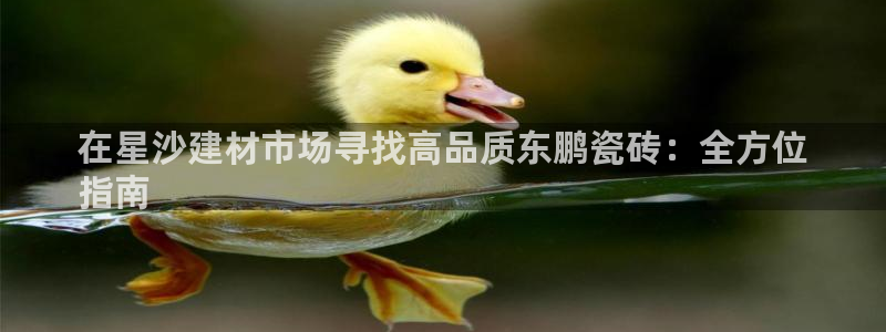 杏鑫平台怎么样黑钱吗是真的吗知乎