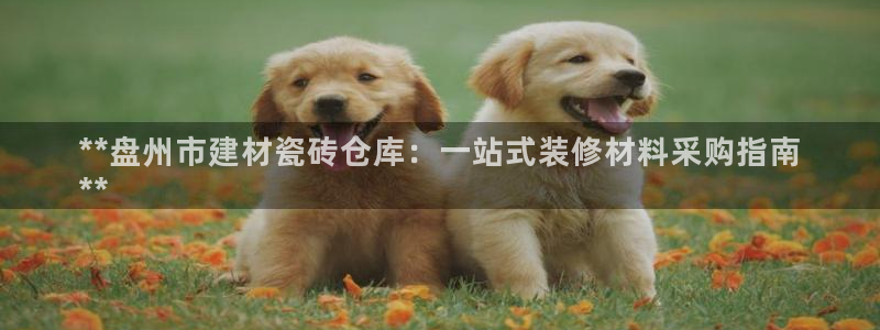 杏鑫平台代理注册多少钱一个