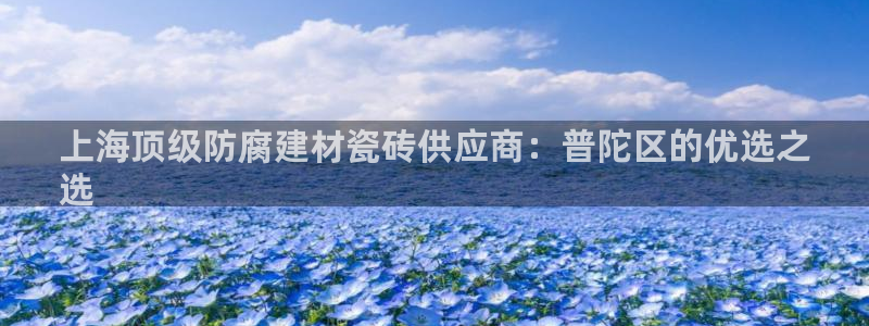 杏鑫代理注册