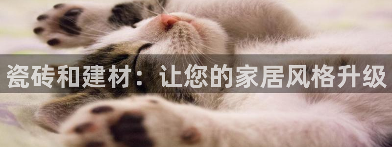 杏鑫官网注册账号密码是什么