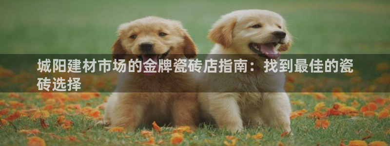 杏鑫注册登录网址是什么