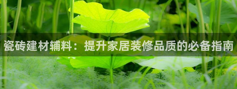 杏鑫娱乐官方网站客户端下载