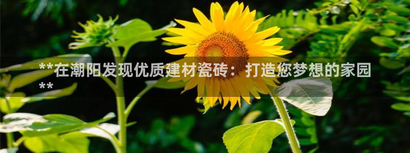 杏鑫娱乐官方网站客户端下载