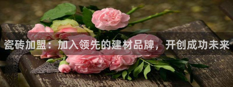 杏鑫平台代理怎么样可靠吗