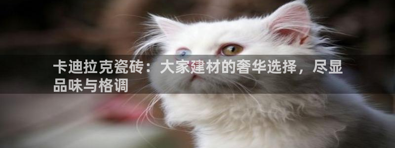 杏鑫平台怎么样黑钱吗知乎推荐