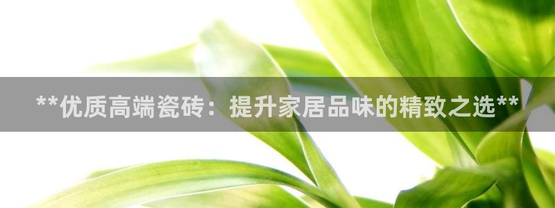 杏鑫平台号7O777