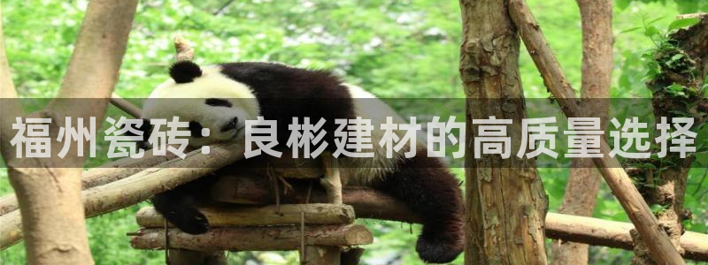 杏鑫平台登陆