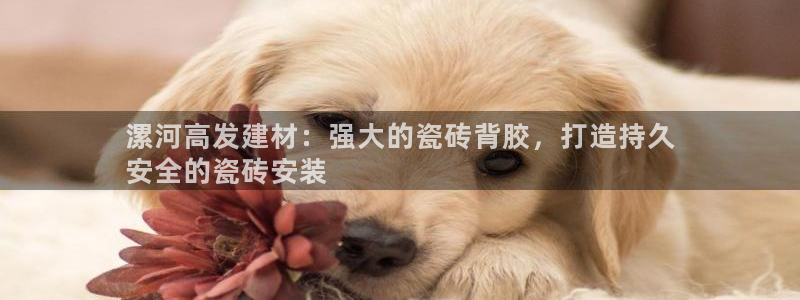 杏鑫官方平台怎么样可靠吗