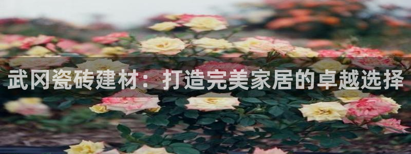 杏鑫平台提供