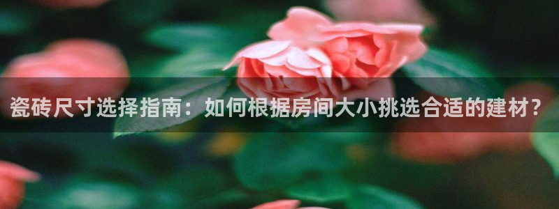 杏鑫主管