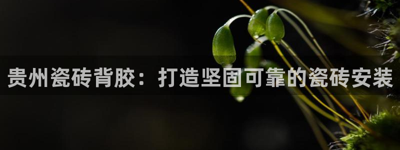 杏鑫娱乐是真的吗还是假的