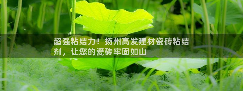 杏鑫平台平台娱乐