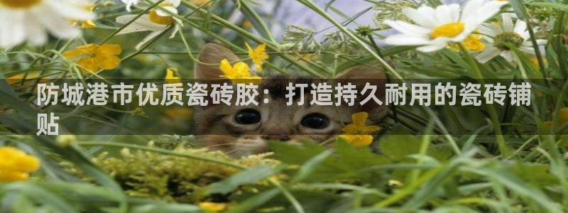 杏鑫官网最新信息新闻