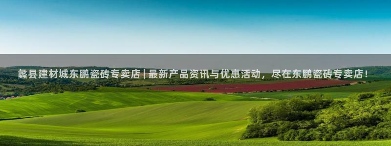 杏鑫平台代理怎么样赚钱