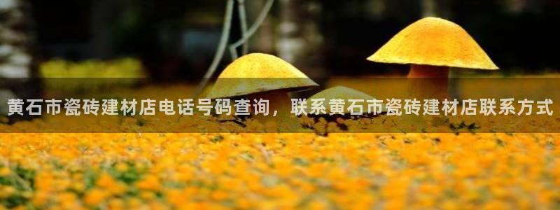 杏鑫平台招商电话号码是多少