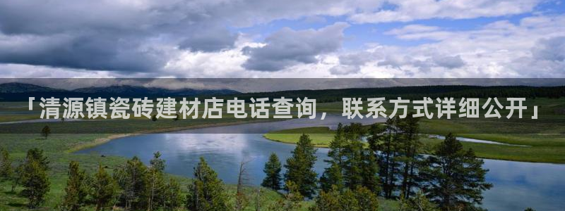 杏鑫招商总代