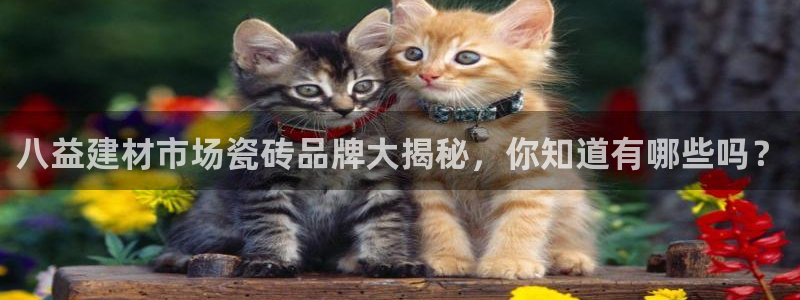 杏鑫平台登陆