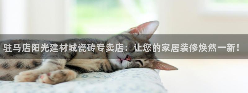 杏鑫平台代理