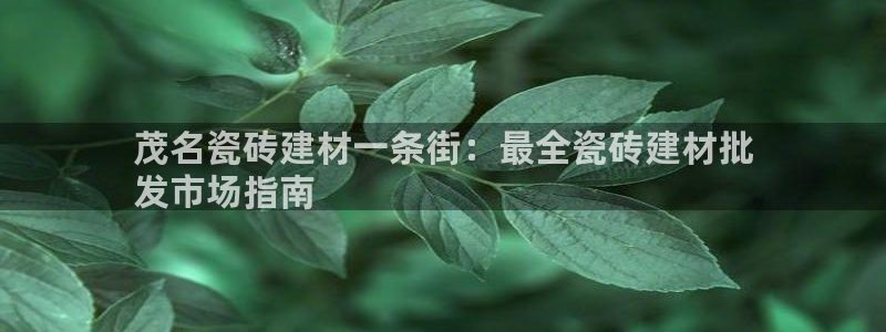 杏鑫平台是黑平台吗