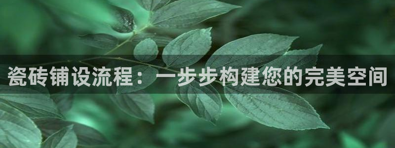 杏鑫娱乐负责人