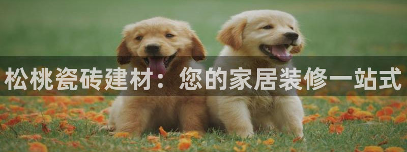 杏鑫平台是黑平台吗