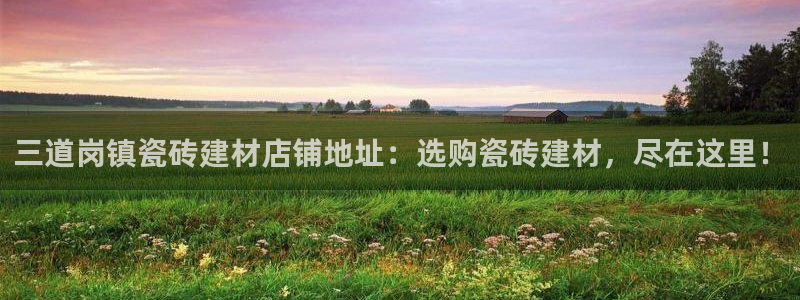 杏鑫娱乐怎么下