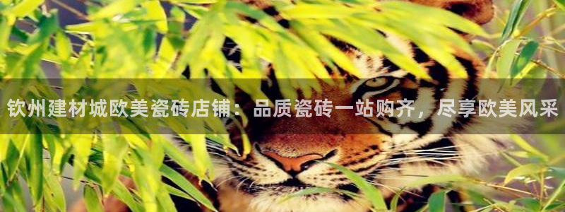 杏鑫官网最新信息新闻