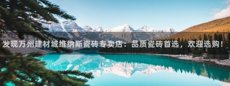 杏鑫娱乐官方网站客户端