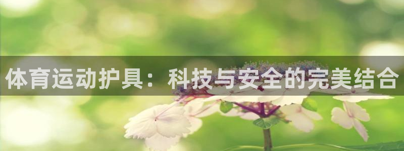 风速体育