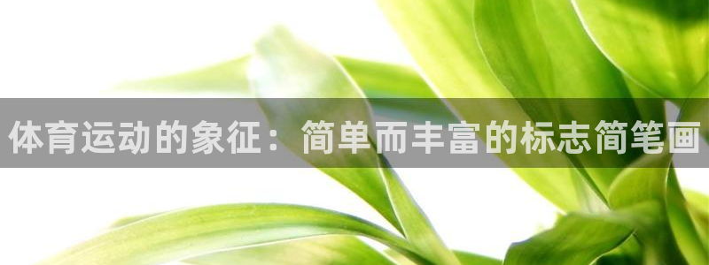 风速体育app官方下载
