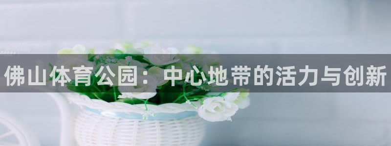 风速体育app官方下载