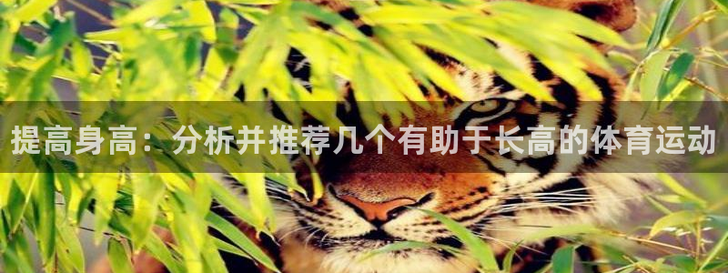 风速体育