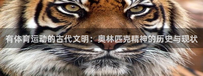 风速体育下载