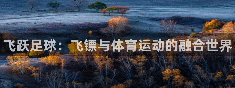 风速体育