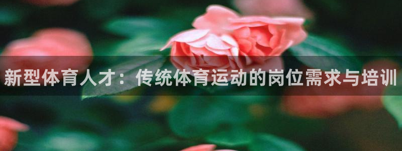 风速体育cba直播