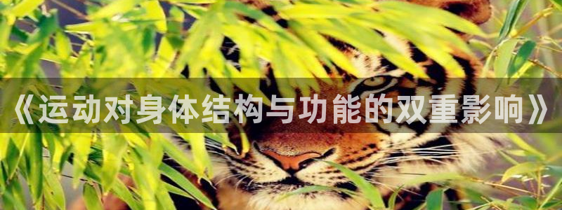 风速体育nba免费直播