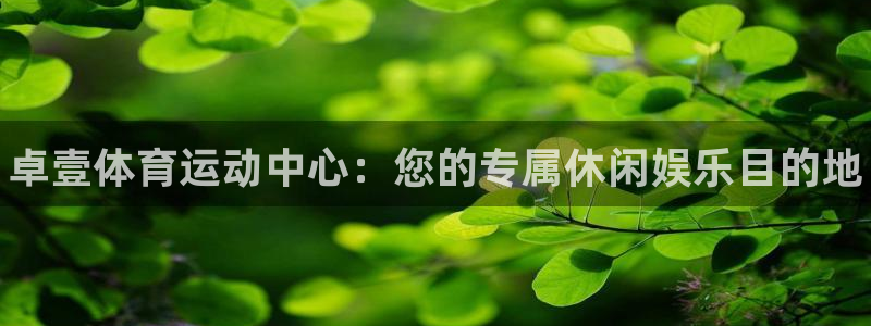 风速体育直播