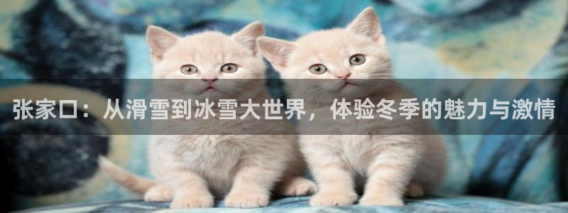 风速体育
