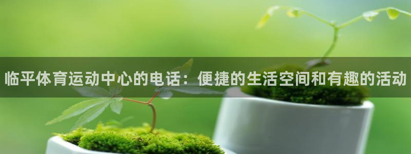 风速体育cba直播
