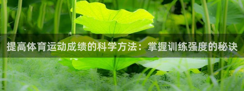 风速体育nba直播
