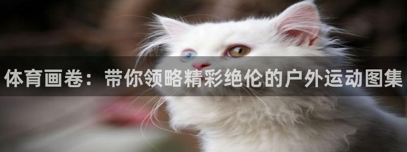 风速体育下载