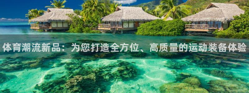 风速体育官网