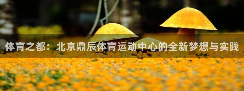 风速体育app