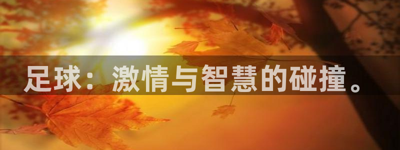 风速体育nba直播