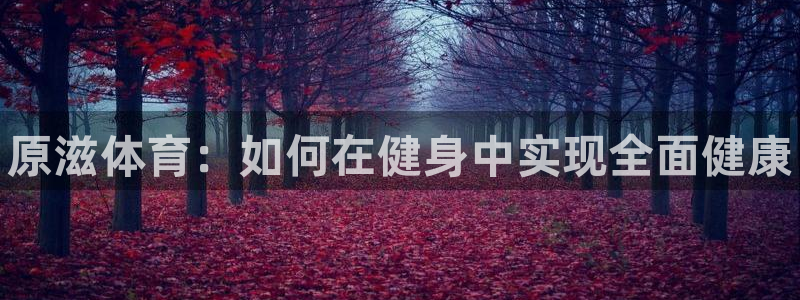 风速体育直播app