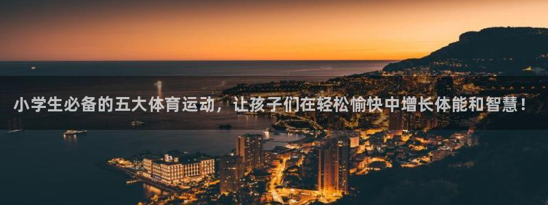 风速体育