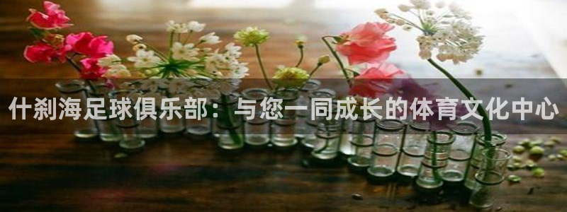 风速体育