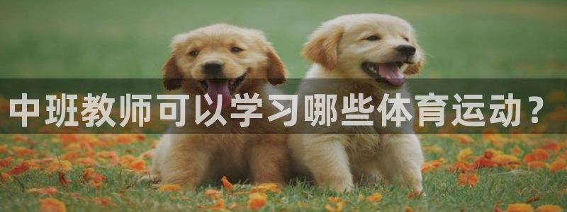 风速体育