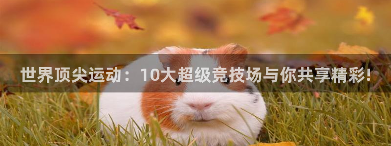 下载风速体育