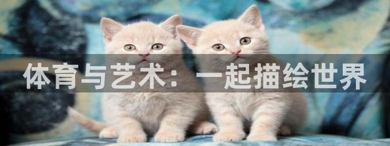 风速体育